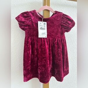 Zara Velvet Dress in Rich Burgundy
